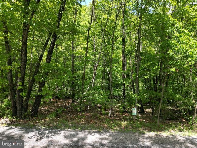 LOT 4 Yost Rd, Home with 0 bedrooms, 0 bathrooms and null parking in New Creek WV | Image 18