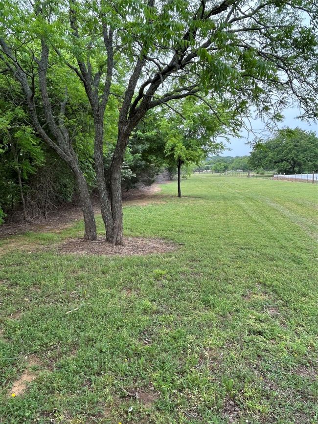 View of yard with fence | Image 22