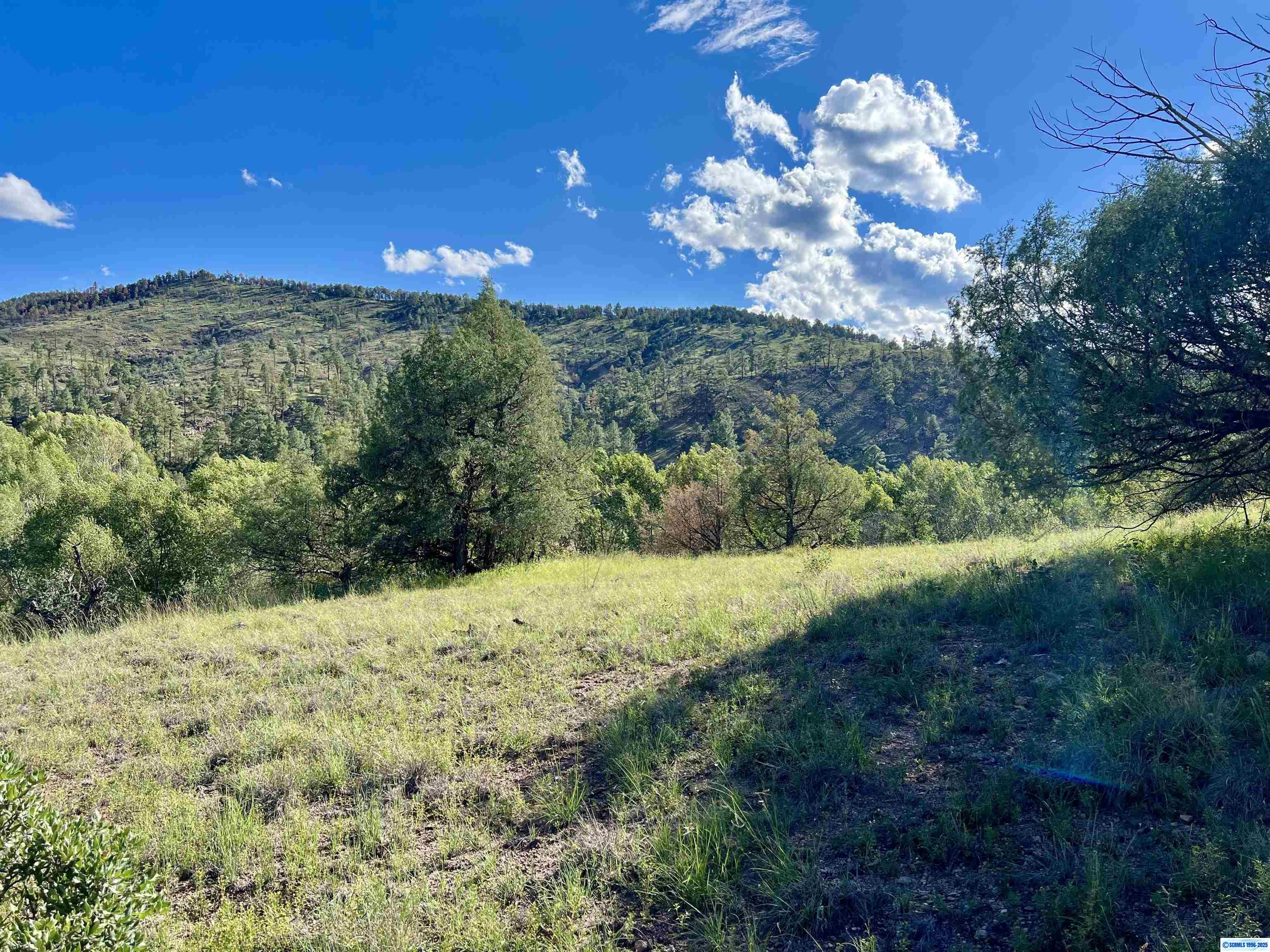 Land in Lake Roberts 4