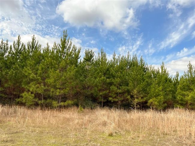 7 Fm 1746, Home with 0 bedrooms, 0 bathrooms and null parking in Spurger TX | Image 14