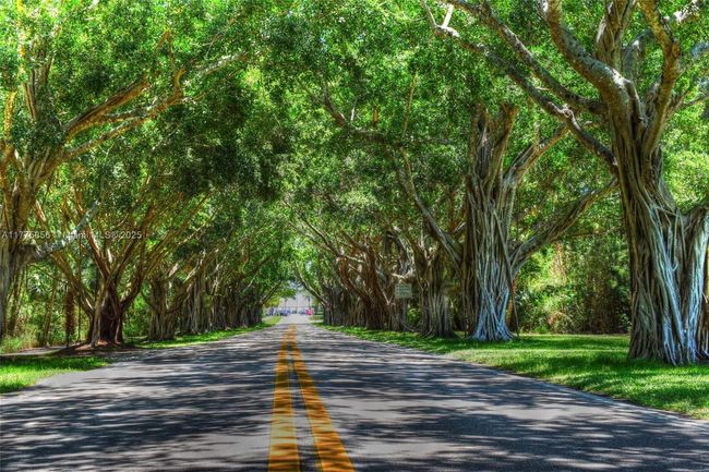 226 W Norfolk Rd, House other with 4 bedrooms, 2 bathrooms and null parking in Jupiter FL | Image 29