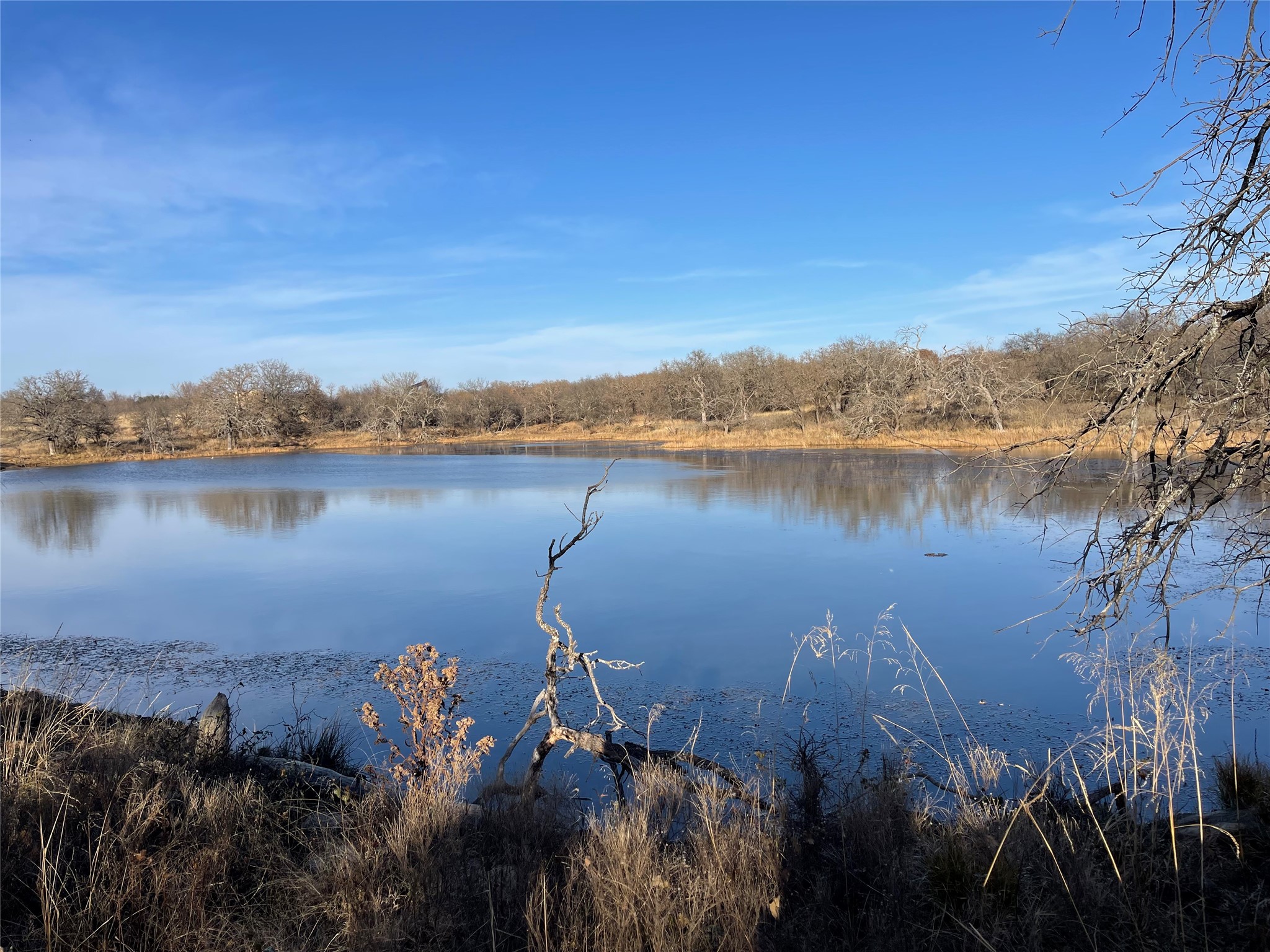 Land in Jacksboro 2
