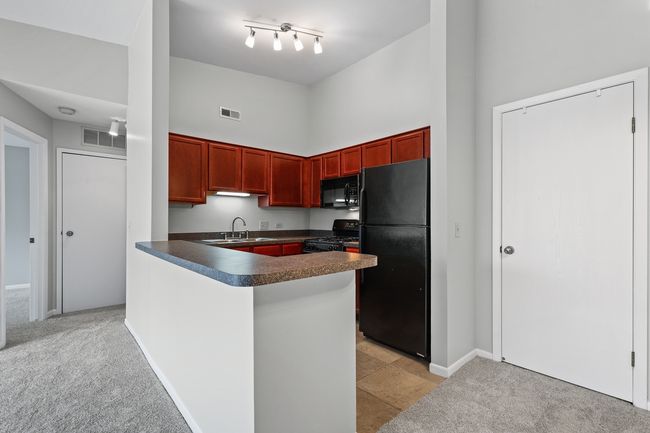 APT-203 - 1529 Raymond Dr, Condo with 2 bedrooms, 1 bathrooms and 1 parking in Naperville IL | Image 7