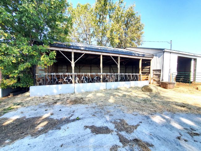 173 (B) Card Rd, Home with 5 bedrooms, 1 bathrooms and 10 parking in Yarker ON | Image 14