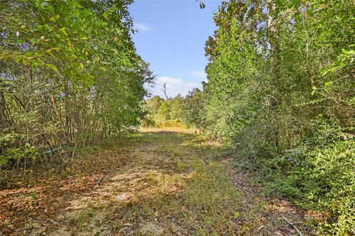 1224 Plum Pudding Rd, Livingston, TX, 77351-5031 | Card Image