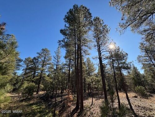 lot-29-3270 W Black Oak Loop, Show Low, AZ, 85901-7587 | Card Image