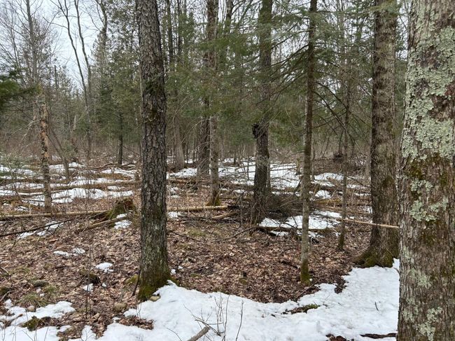 743 Woodlawn Rd, House other with 2 bedrooms, 1 bathrooms and null parking in Pickerel WI | Image 70