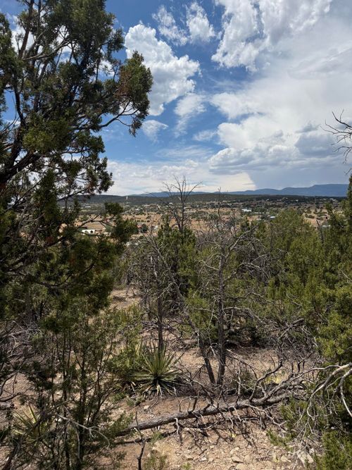0 Barton Rd, Edgewood, NM, 87015 | Card Image