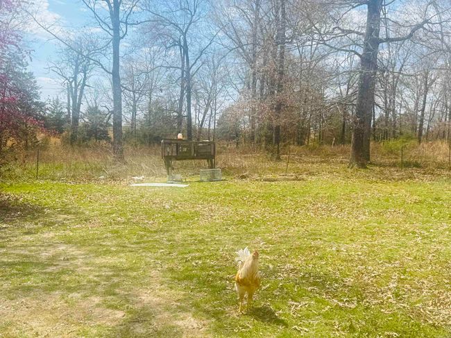 3912 Ar 354 Hwy, House other with 3 bedrooms, 2 bathrooms and null parking in Oxford AR | Image 30