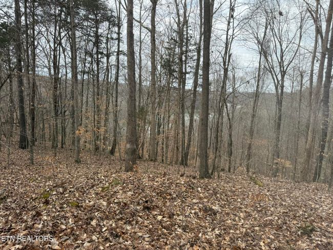 649 Garrett Town Ln, Home with 0 bedrooms, 0 bathrooms and null parking in Monroe TN | Image 20