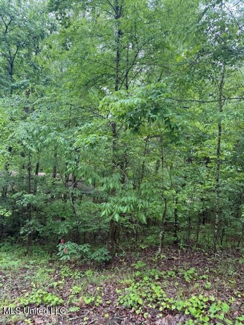 Lot 72 Block B Holiday Hills, Como, MS, 38619 | Card Image