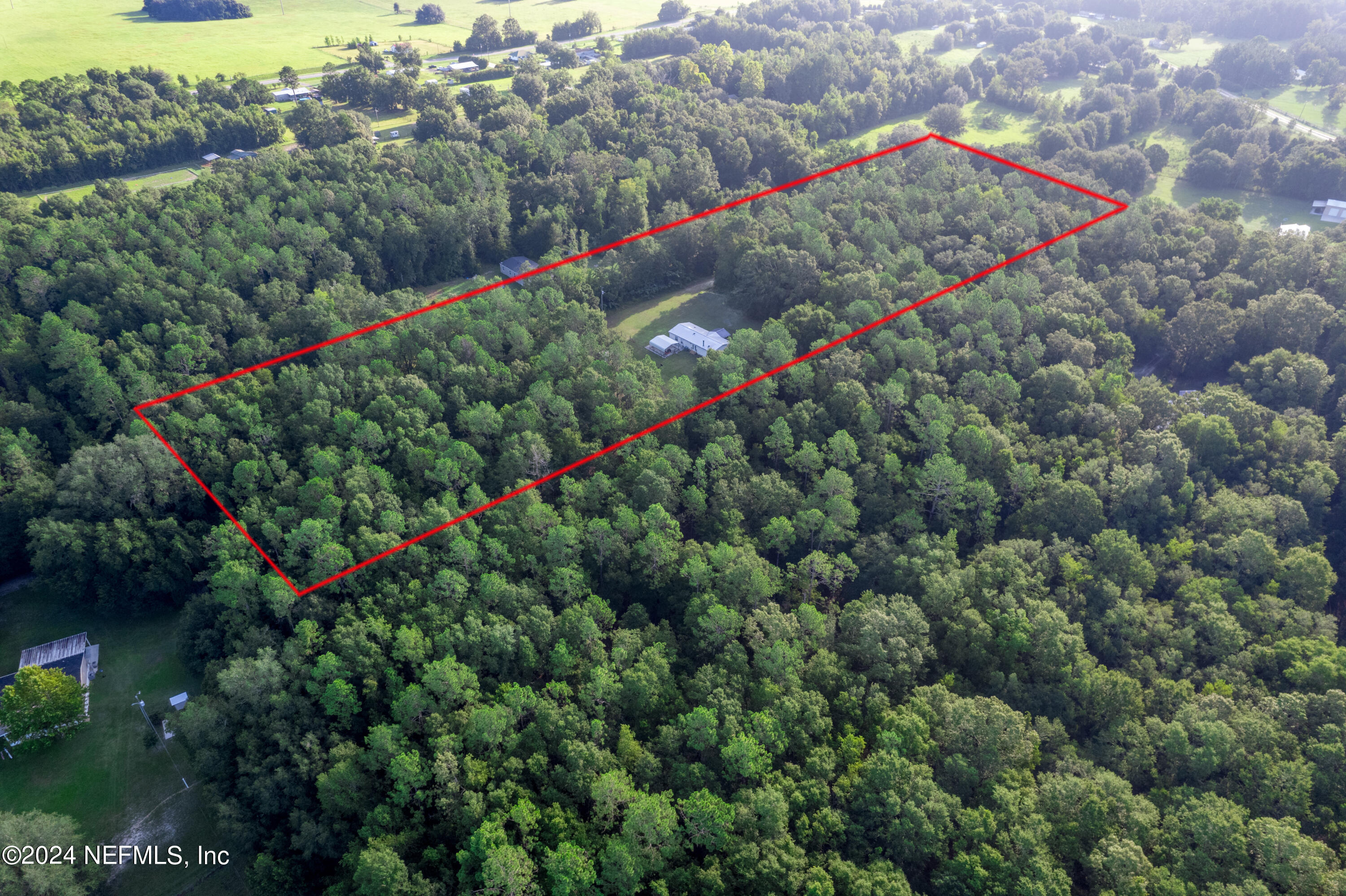 Bald Eagle Loop, Lake City, FL 32025