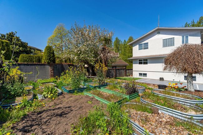 View of yard with a garden and fence | Image 39