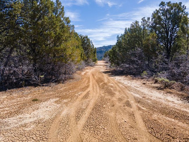 DJI_0928-HDR | Image 15
