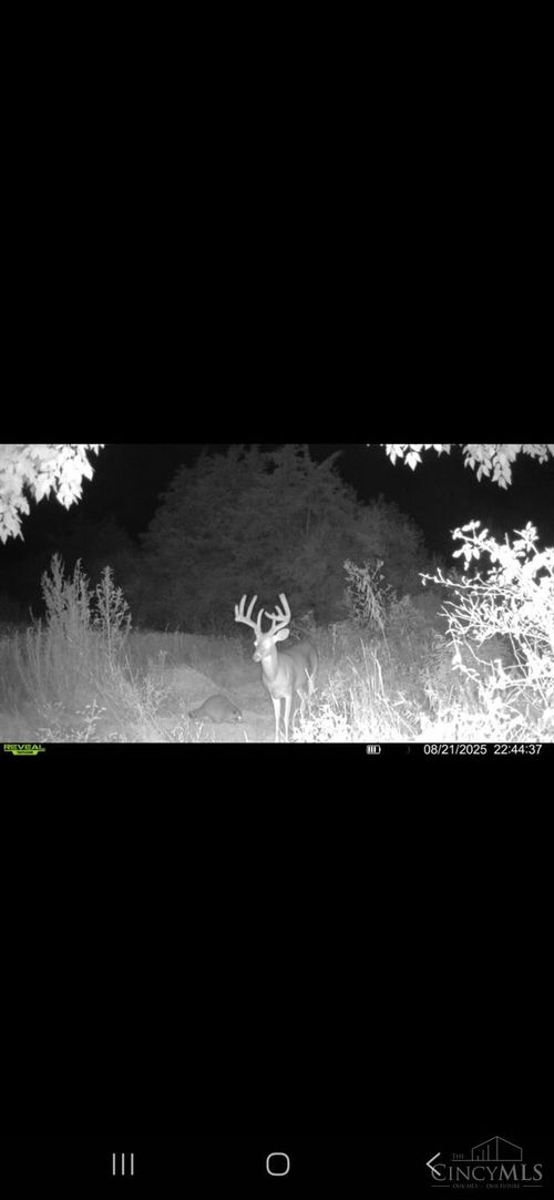 110 Fenton Rd, Winchester, OH, 45697 | Card Image