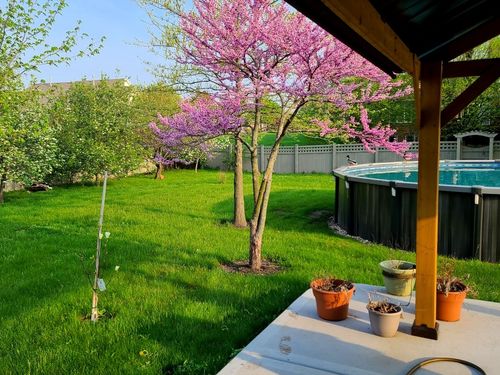 18753 Rosewood Ln, Mokena, IL, 60448-1092 | Card Image