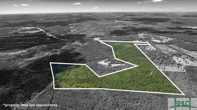 262 Leroy Coffer Highway, Home with 0 bedrooms, 0 bathrooms and null parking in Fleming GA | Image 19