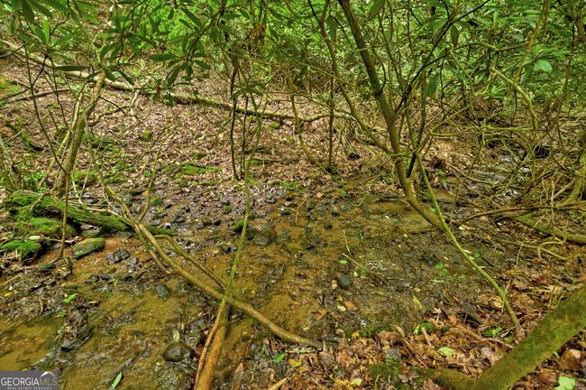 LOT 68 Toccoa Taquohee Trl, Home with 0 bedrooms, 0 bathrooms and null parking in Blue Ridge GA | Image 23