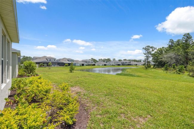 33466 Landsman Loop, House other with 4 bedrooms, 5 bathrooms and null parking in Wesley Chapel FL | Image 20