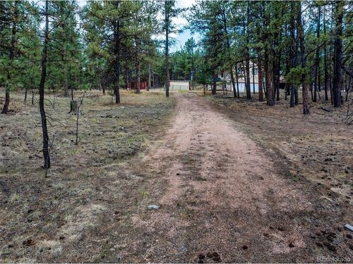 41 Ingels Dr, Florissant, CO, 80816-8523 | Card Image