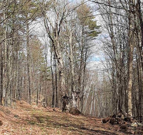 24 Stage Rd, Lempster, NH, 03605-3128 | Card Image