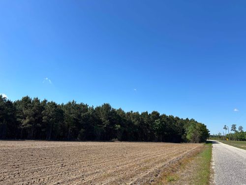 TBD Mclellan Rd, Hamer, SC, 29547 | Card Image