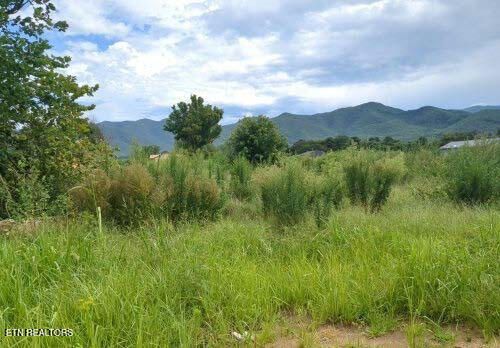 290 Bill Mauk Rd, Chuckey, TN, 37641-2139 | Card Image