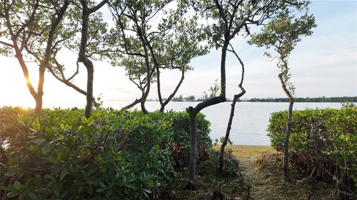 apt-c7-1500 Sunset Rd, TARPON SPRINGS, FL, 34689-2745 | Card Image