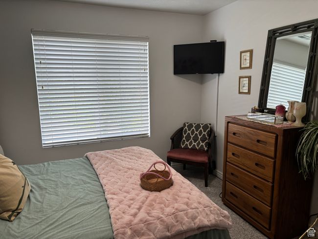 Carpeted bedroom with multiple windows | Image 9