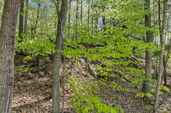 0 Stone Rd, Home with 0 bedrooms, 0 bathrooms and null parking in Gilmanton NH | Image 7