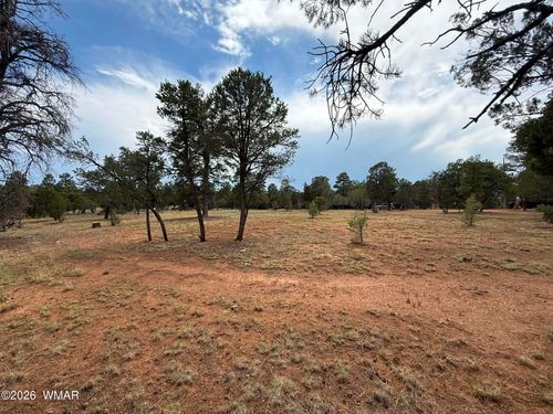 3048 Chevelon Rd, Overgaard, AZ, 85933-9719 | Card Image