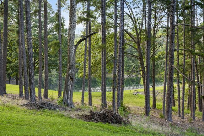 85-web-or-mls-DSC06642 | Image 79