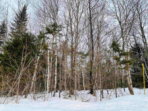 Lot 15 Holbrook Hill Road, Stratford, NH, 03590 | Card Image