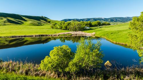 42 Shepards Road, Big Horn, WY, 82833 | Card Image