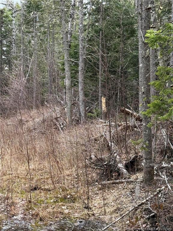 Land in Saint-Paul 4