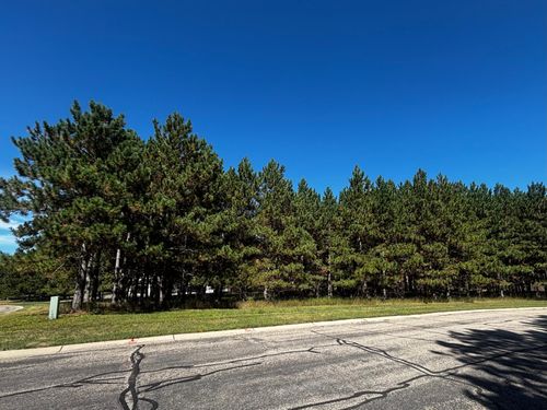 TBD Emerald Drive, Alexandria, MN, 56308 | Card Image
