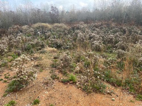 7112 Cold Creek Drive, Alexander, AR, 72002 | Card Image