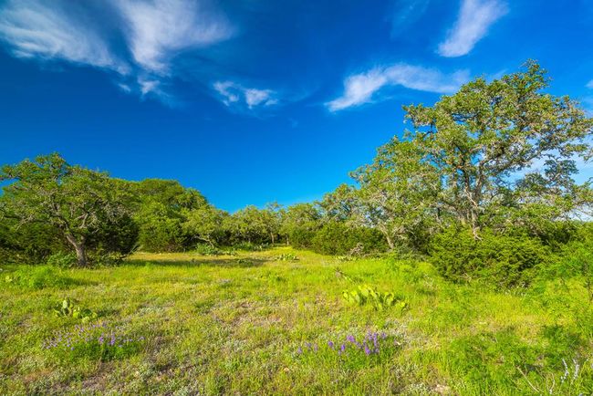 2068 S Laird Rd, Home with 0 bedrooms, 0 bathrooms and null parking in Harper TX | Image 61