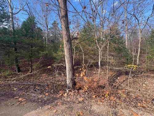 Tract D Crystal Oaks Trail, Gamaliel, AR, 72537 | Card Image