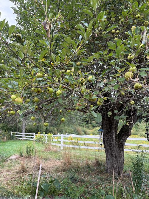 715 Gilmore Pond Rd, Jaffrey, NH, 03452-6102 | Card Image