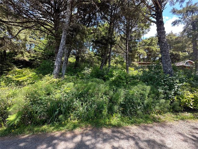 4753 Beach Ln, Home with 0 bedrooms, 0 bathrooms and null parking in Moclips WA | Image 25