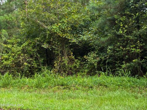 0 Briggs Rd, Cameron, NC, 28326 | Card Image