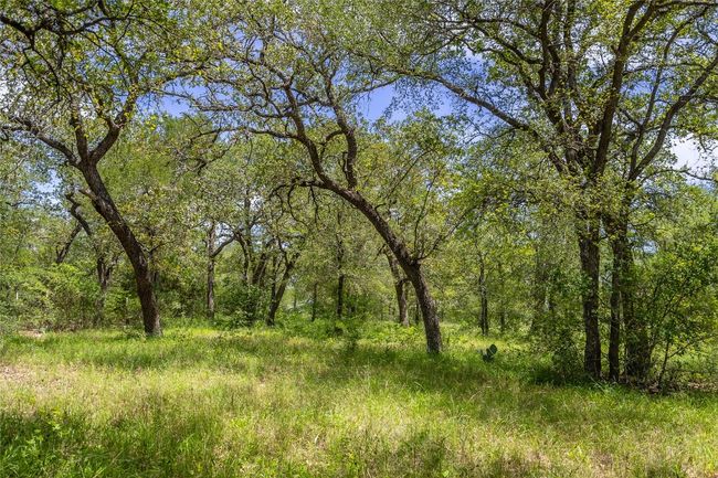 7502 Wells Trce, Home with 0 bedrooms, 0 bathrooms and null parking in Manor TX | Image 18