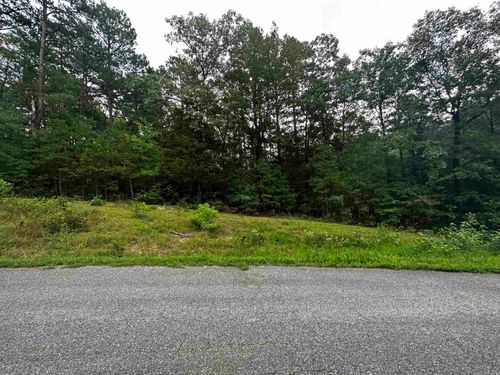 Lot 47 Cobalt Bay Dr, Shirley, AR, 72153 | Card Image