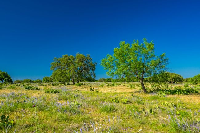 2068 S Laird Rd, Home with 0 bedrooms, 0 bathrooms and null parking in Harper TX | Image 42