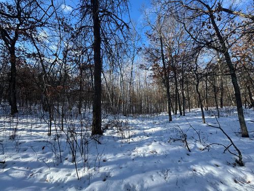 Lot 12 Firewood Trail, Park Rapids, MN, 56470 | Card Image