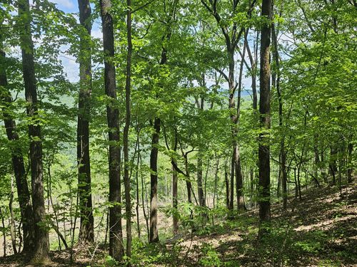 14 Higgenbotham Turkpike, Altamont, TN, 37301 | Card Image