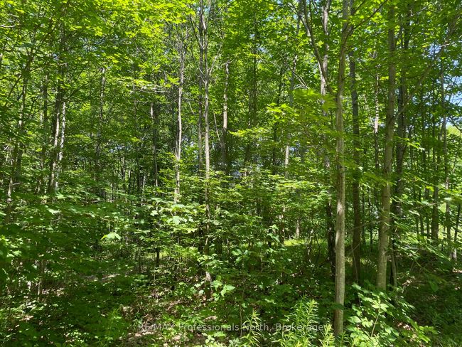 0 Glamor Lake Rd, Home with 0 bedrooms, 0 bathrooms and null parking in Gooderham ON | Image 8