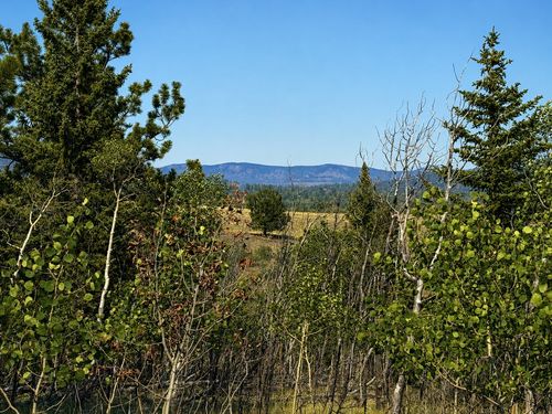 250 Pinto Trail, Como, CO, 80432 | Card Image
