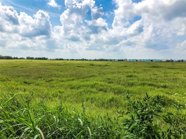 12328 Fm 1383, Home with 0 bedrooms, 0 bathrooms and null parking in Schulenburg TX | Image 4
